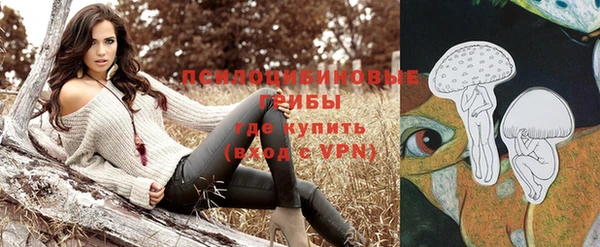 прущая мука Алзамай
