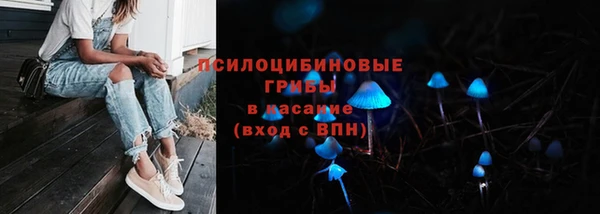 бошки Алексин